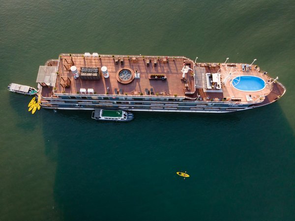 Quels sont les meilleurs spots pour faire de la plongée avec les requins en Afrique du Sud?